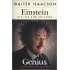 Einstein: His Life And Universe