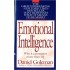 Emotional Intelligence: Why It Can Matter More Than IQ