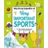 My Encyclopedia of Very Important Sport