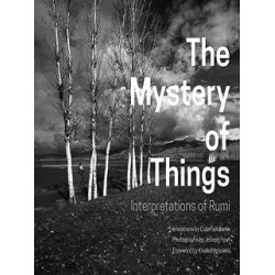 The Mystery Of Things :Interpretations Of Rumi