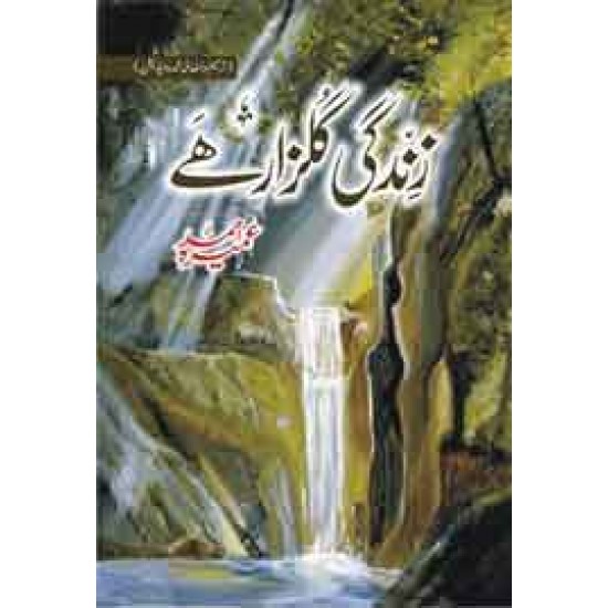 Zindagi Gulzar hai